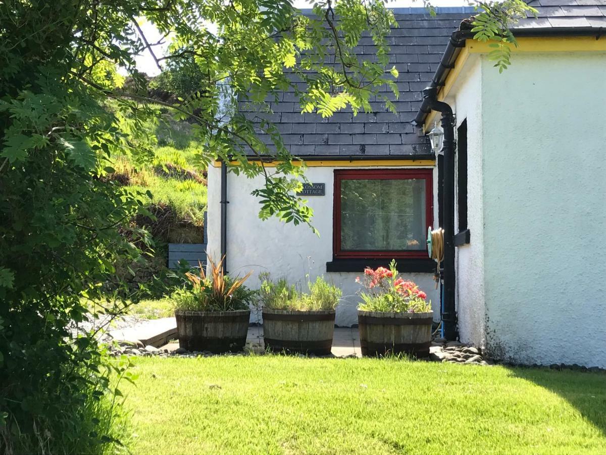 Blossom Cottage Lonmore Exterior foto